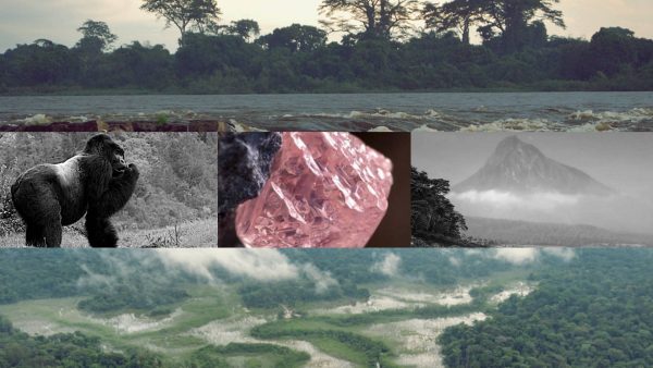 Between Congo and Angola, I Stumbled Onto Pink and Blue Diamonds You’ll Never See in a Vault